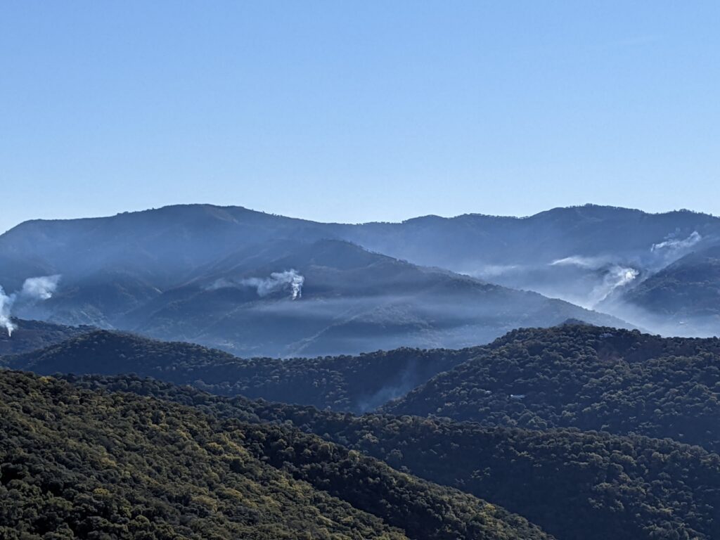 smog from burning wood in rural areas Is firewood a renewable?