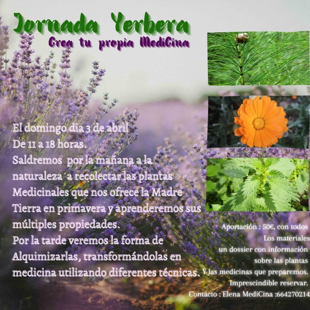 Create your own herbal medicines